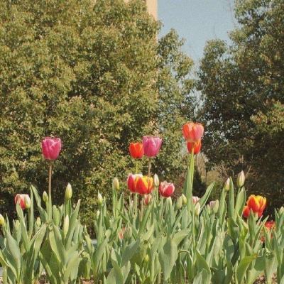 星空体育网站入口