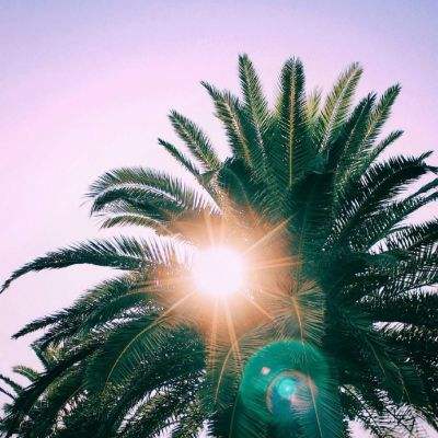 上海麻将app下载