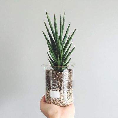 beat365官方最新版