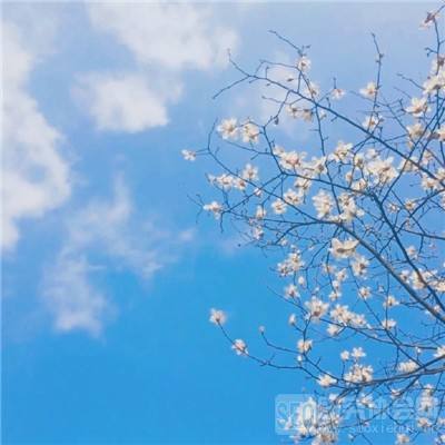 hth·华体育APPapp下载截图