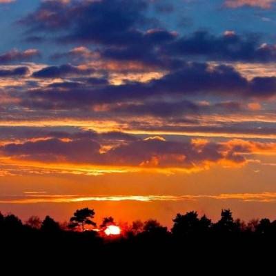 半岛全站app下载